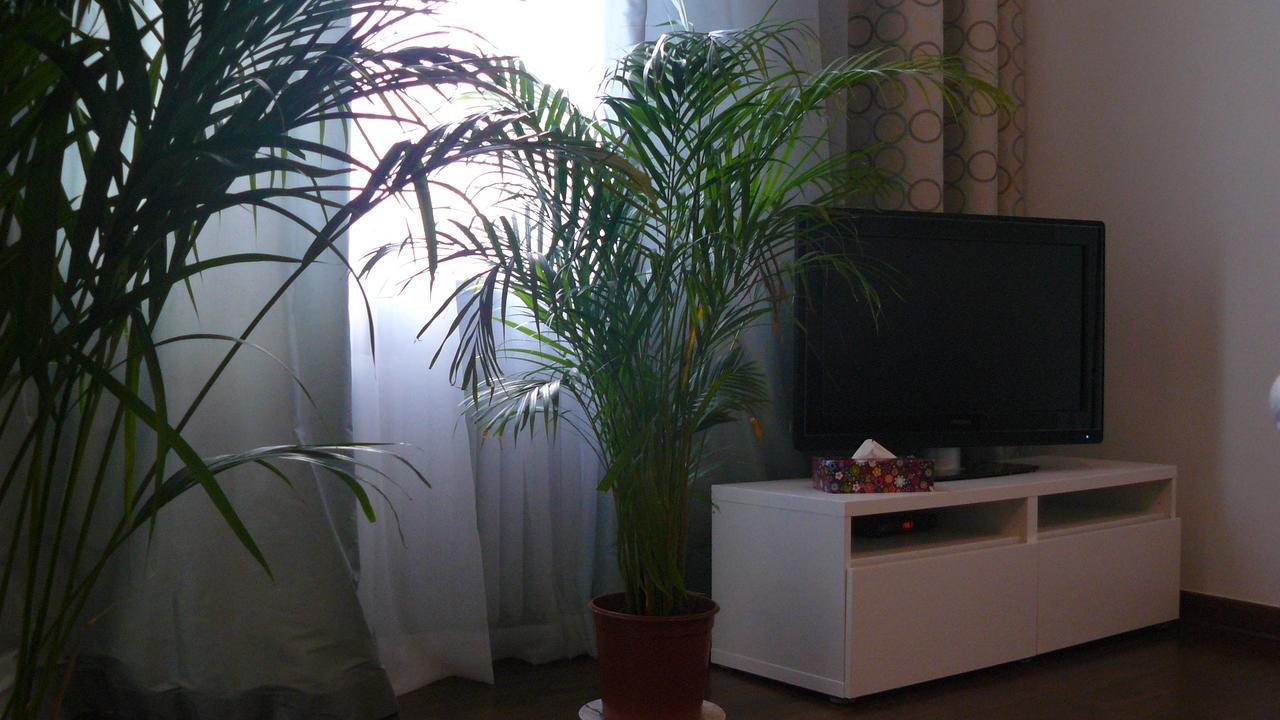 바르샤바 Apartament Chmielna 아파트 외부 사진